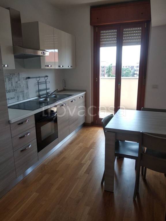 immagine annuncio 4 di 11