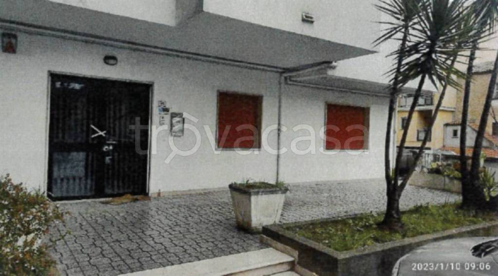 immagine annuncio 7 di 11