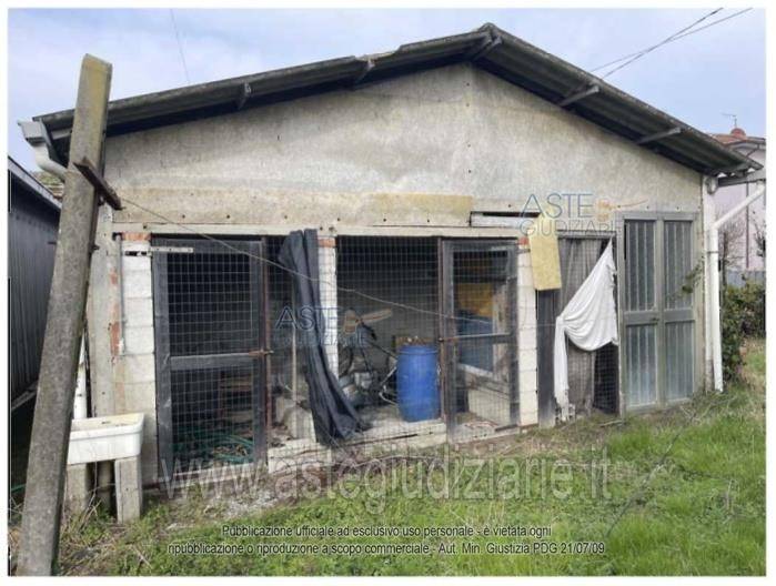 immagine annuncio 11 di 15