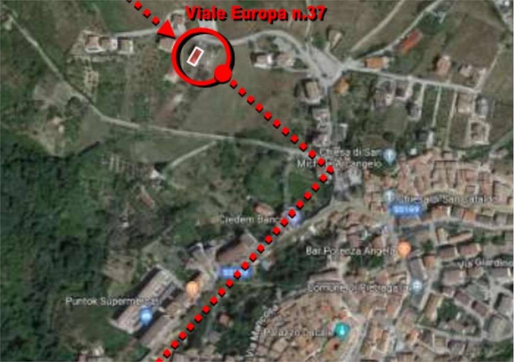 immagine annuncio 12 di 15