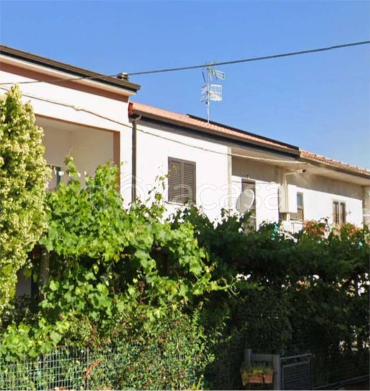 immagine annuncio 7 di 13