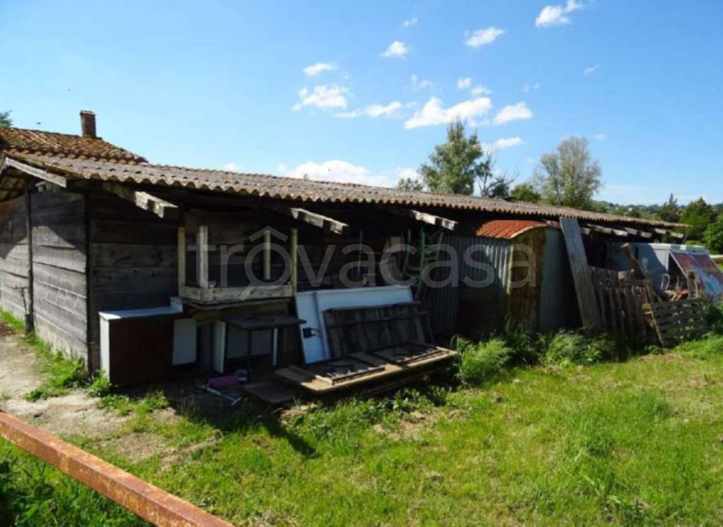 immagine annuncio 2 di 11