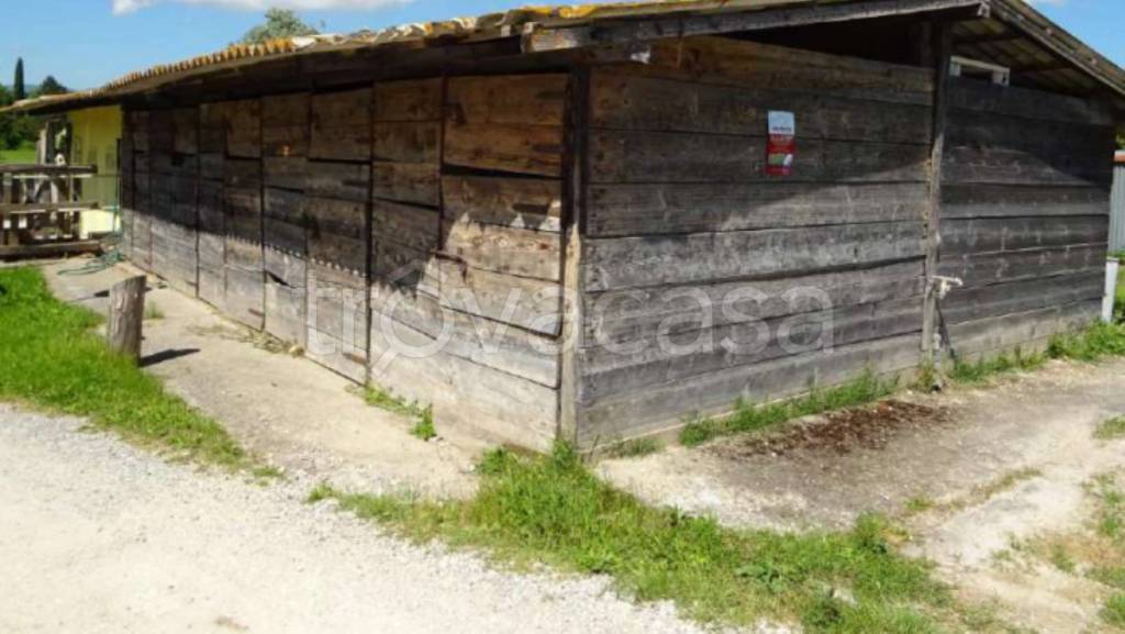 immagine annuncio 7 di 11