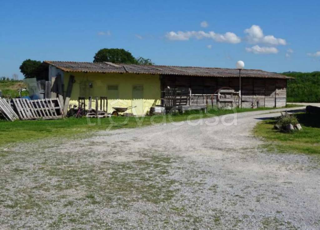 immagine annuncio 9 di 11