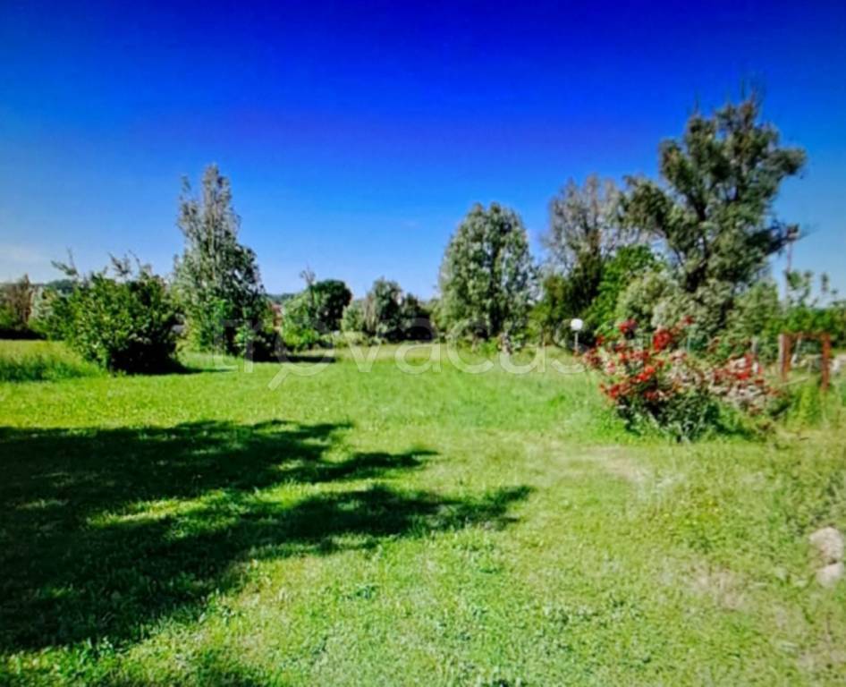 immagine annuncio 3 di 11