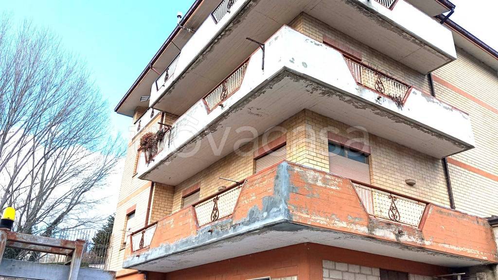 immagine annuncio 2 di 9