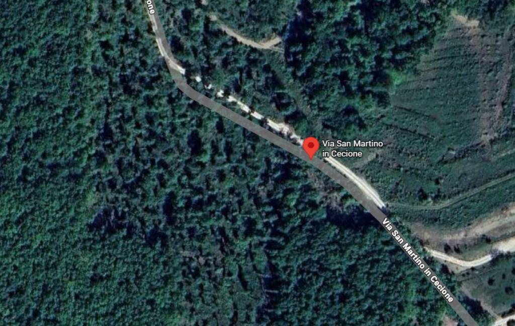 immagine annuncio 4 di 11