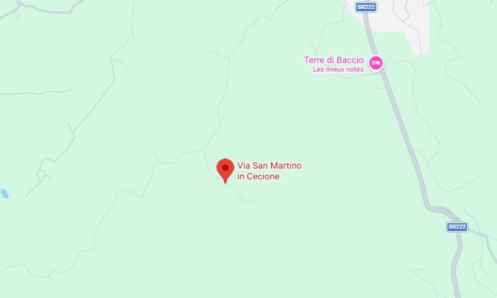 immagine annuncio 3 di 11