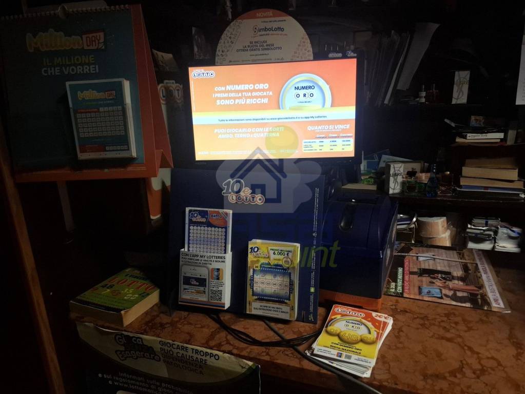 immagine annuncio 11 di 13