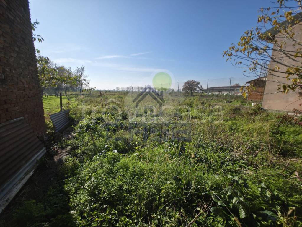 immagine annuncio 13 di 14