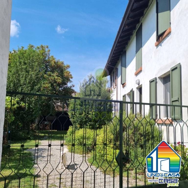 immagine annuncio 2 di 11