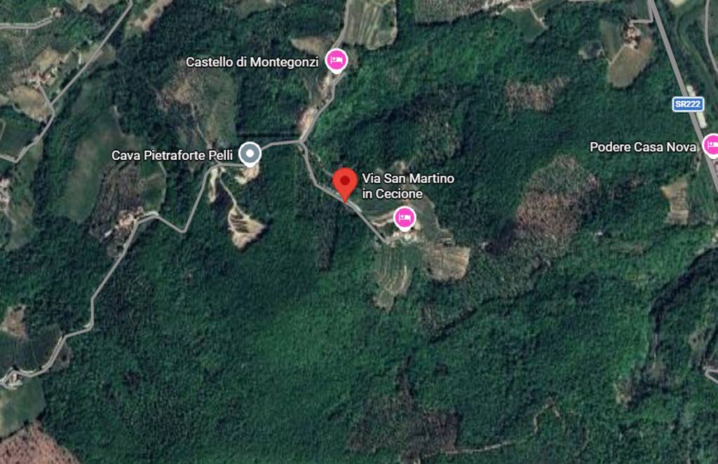 immagine annuncio 10 di 11