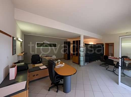 immagine annuncio 2 di 7