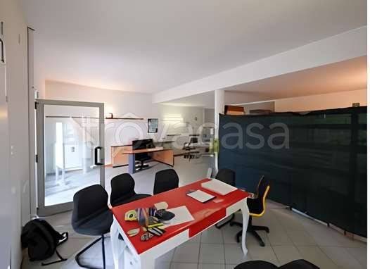 immagine annuncio 4 di 7