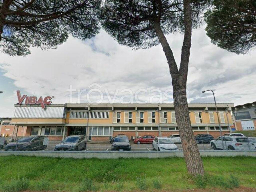 immagine annuncio 2 di 11