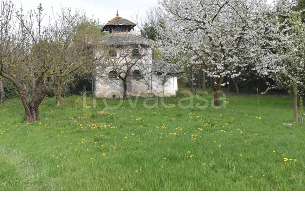 immagine annuncio 9 di 11