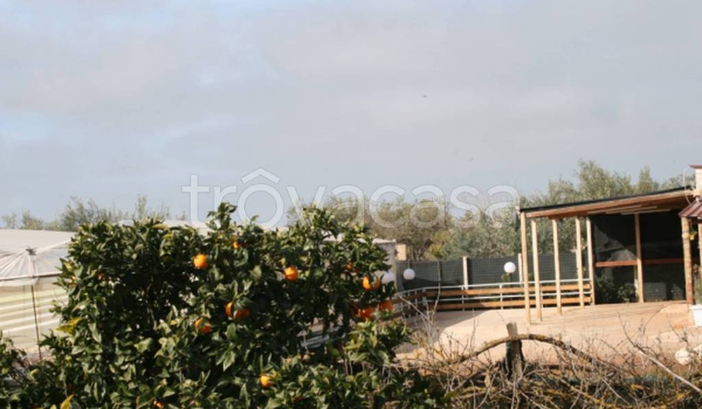 immagine annuncio 9 di 11