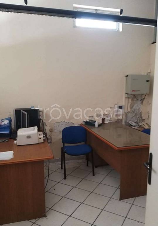 immagine annuncio 7 di 12