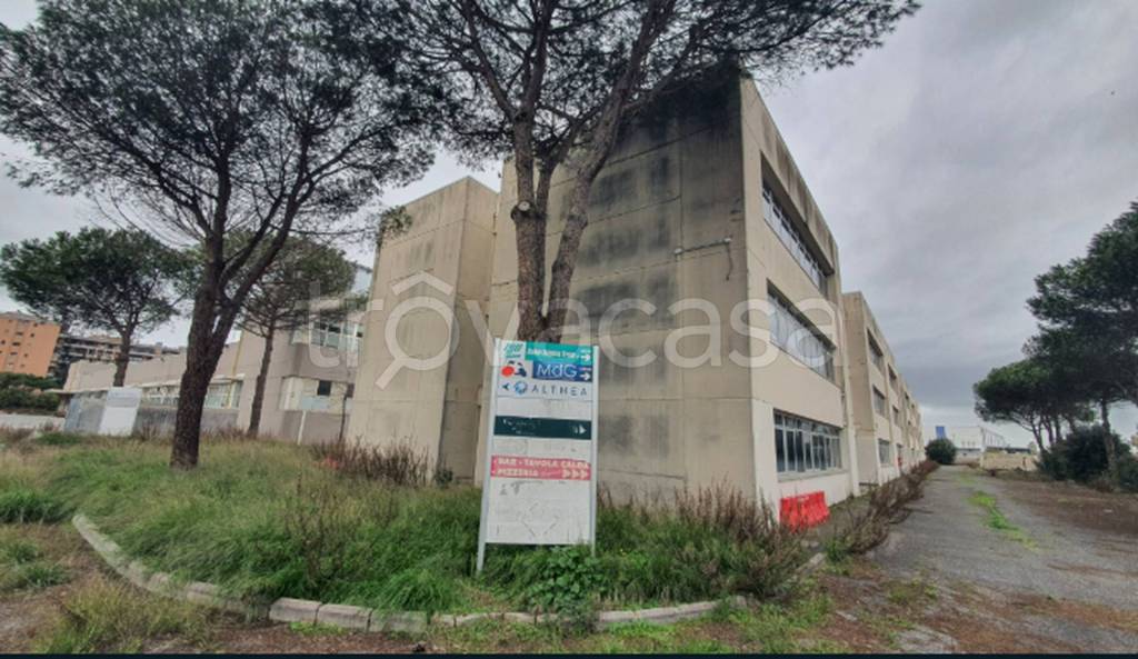 immagine annuncio 9 di 13