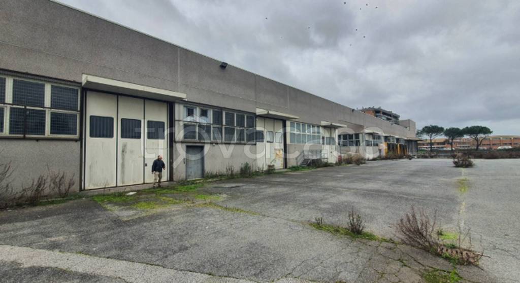 immagine annuncio 10 di 13