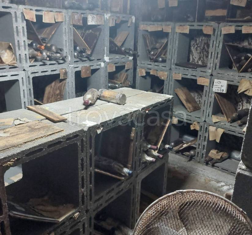 immagine annuncio 10 di 13