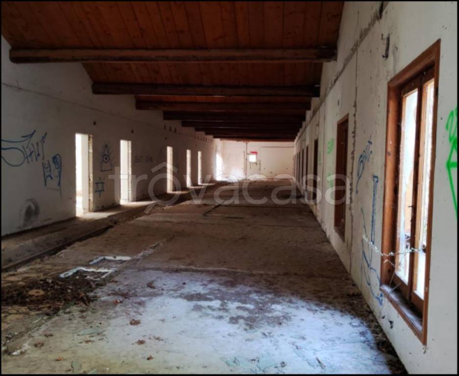 immagine annuncio 4 di 12