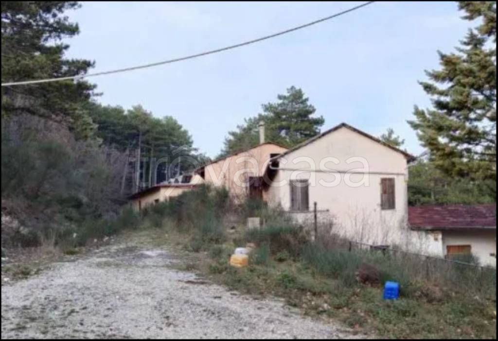 immagine annuncio 7 di 12