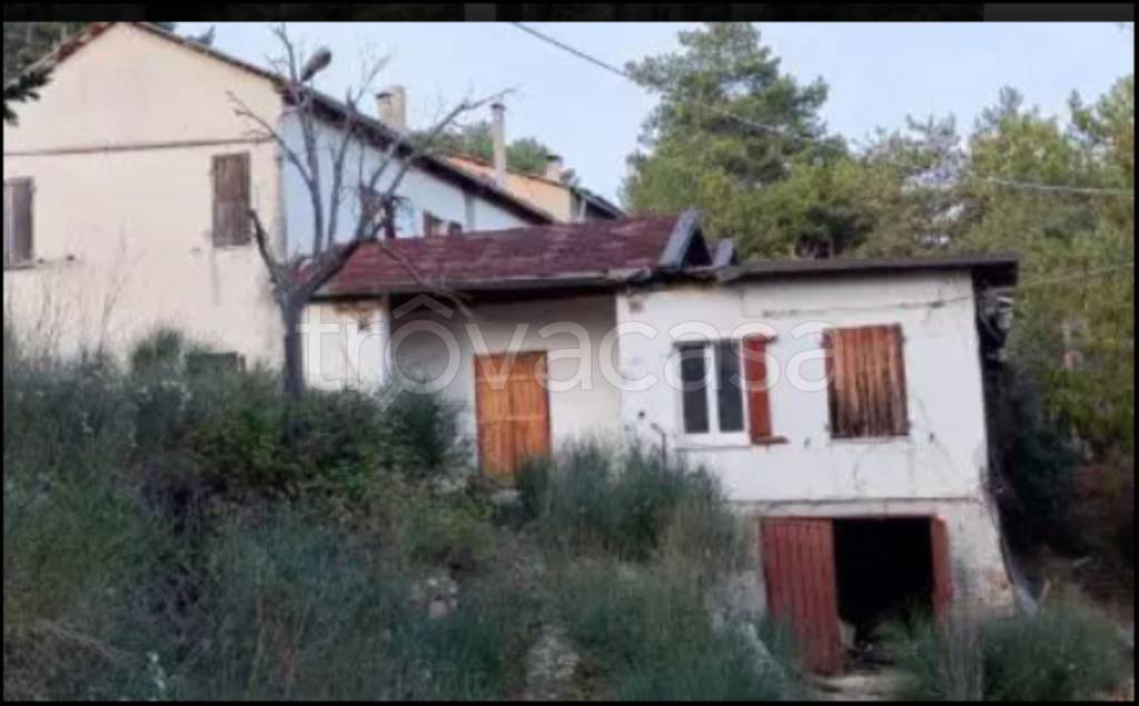 immagine annuncio 8 di 12