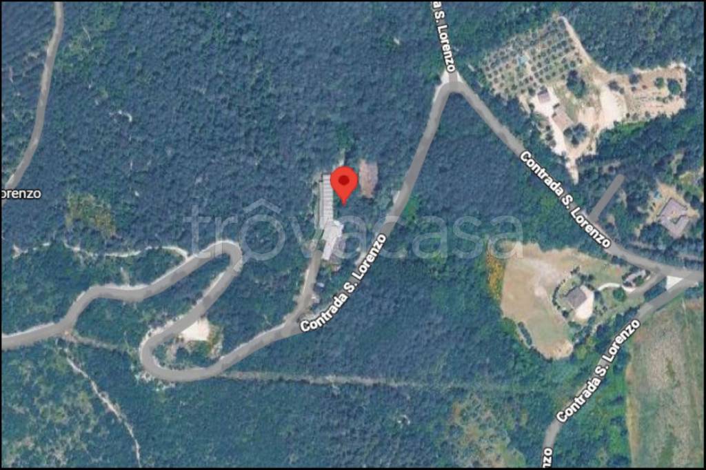 immagine annuncio 11 di 12