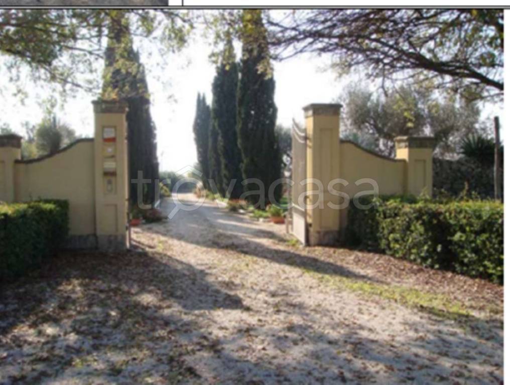 immagine annuncio 3 di 11