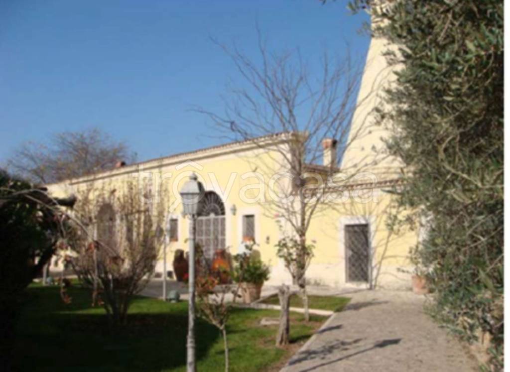 immagine annuncio 10 di 11