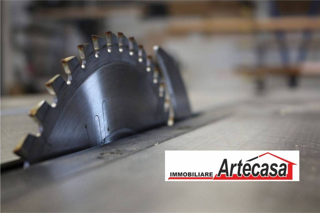 immagine annuncio 1 di 4