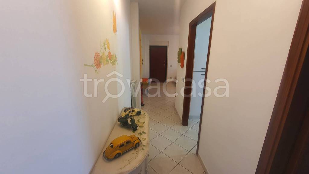 immagine annuncio 7 di 13