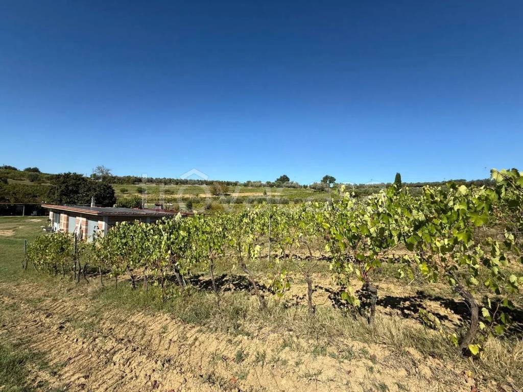 immagine annuncio 1 di 8