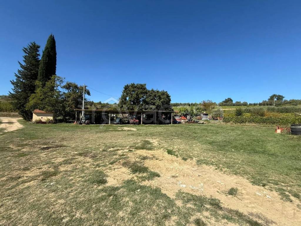 immagine annuncio 2 di 8