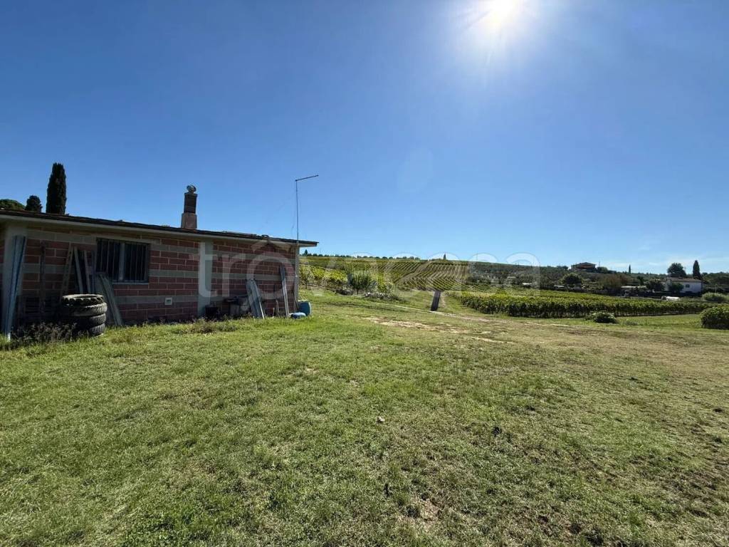 immagine annuncio 3 di 8