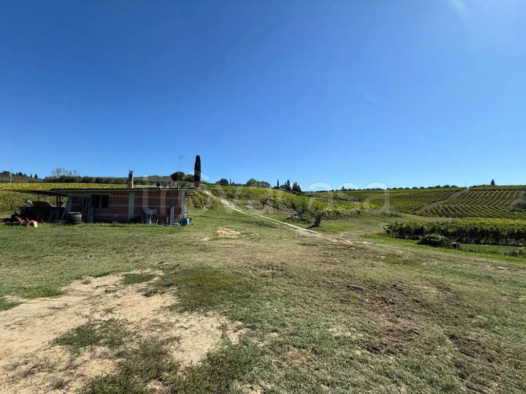 immagine annuncio 4 di 8