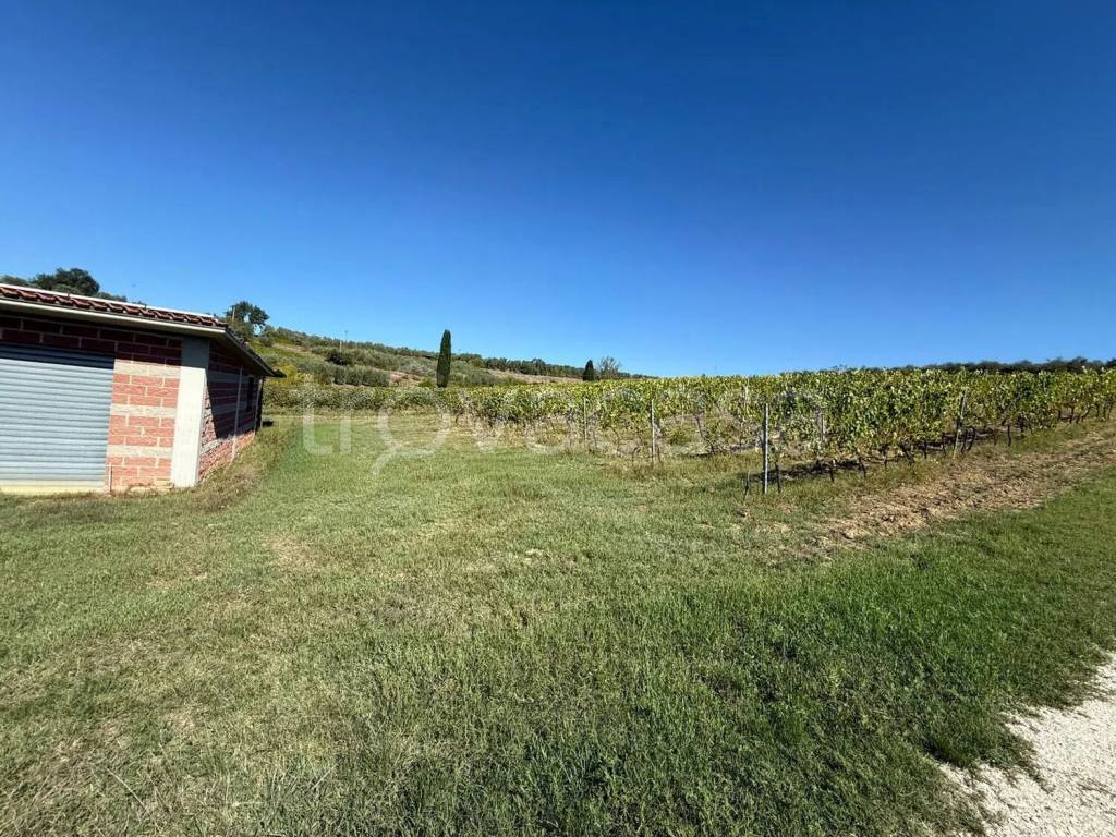 immagine annuncio 5 di 8