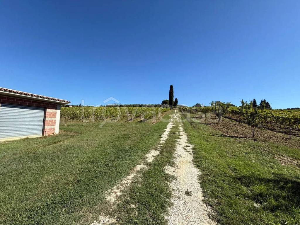 immagine annuncio 6 di 8