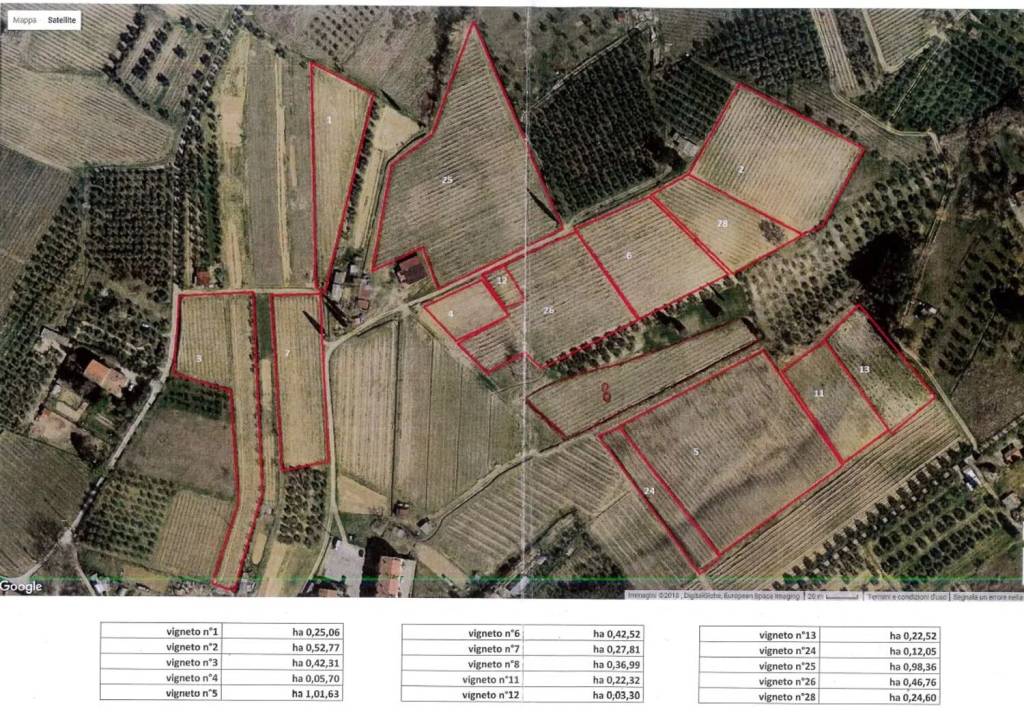 immagine annuncio 7 di 8