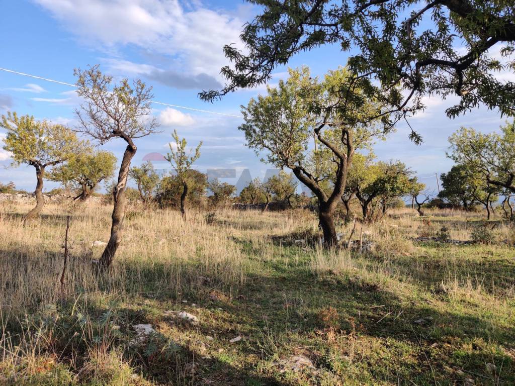 immagine annuncio 9 di 11