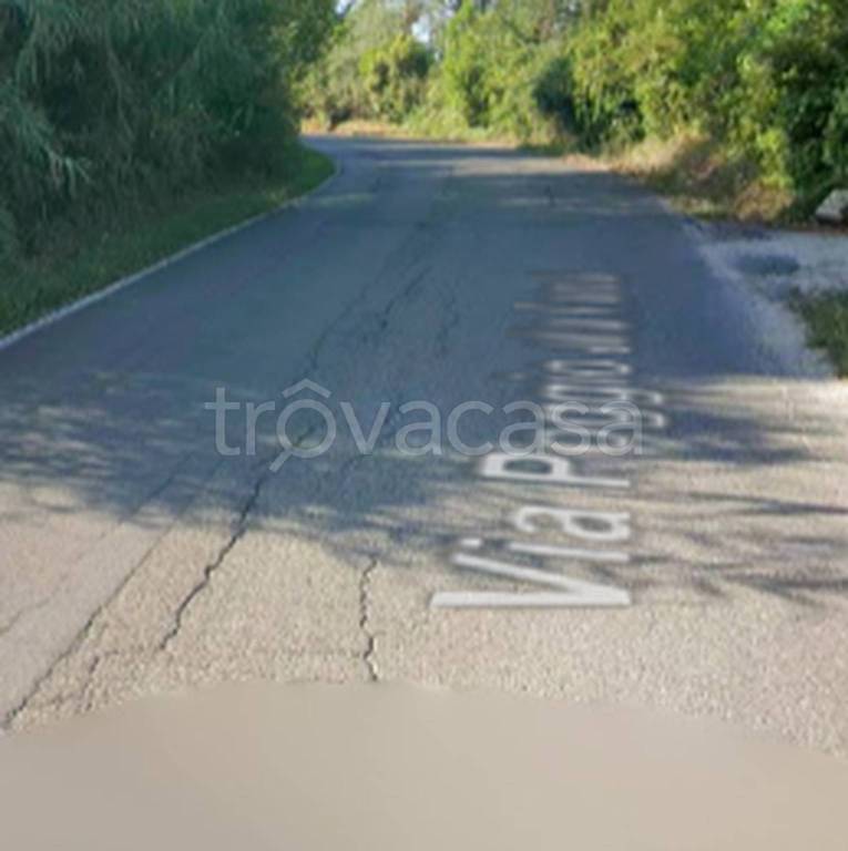 immagine annuncio 5 di 11