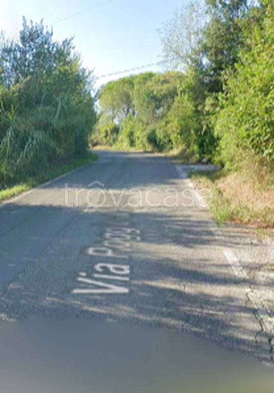 immagine annuncio 6 di 11