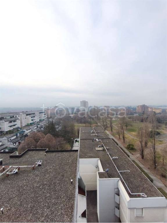 immagine annuncio 5 di 11