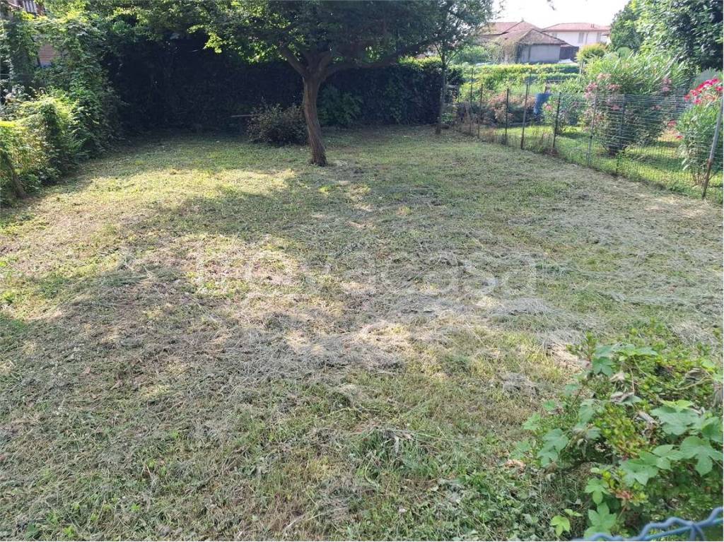 immagine annuncio 11 di 13