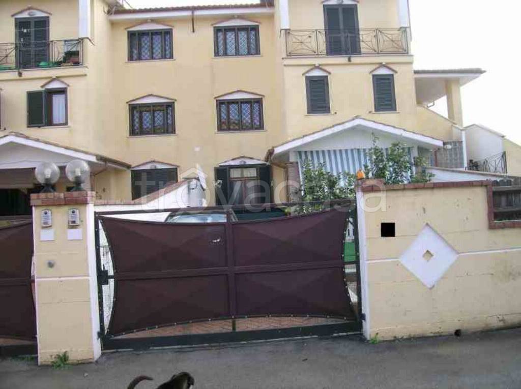 immagine annuncio 12 di 13