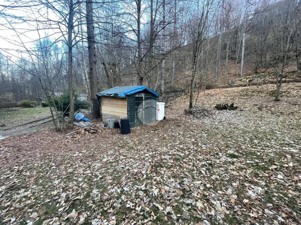 immagine annuncio 4 di 10