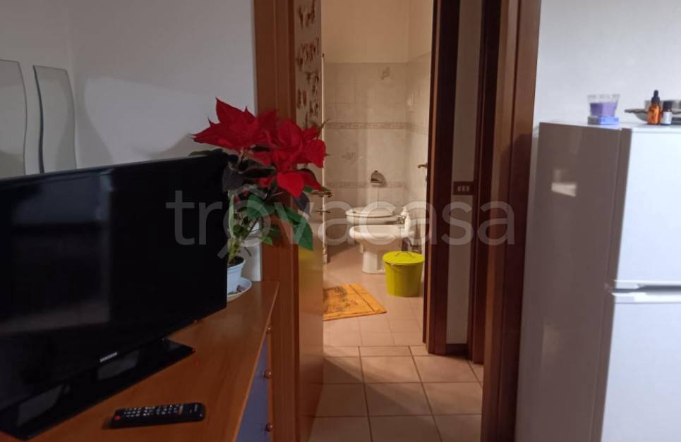 immagine annuncio 5 di 14