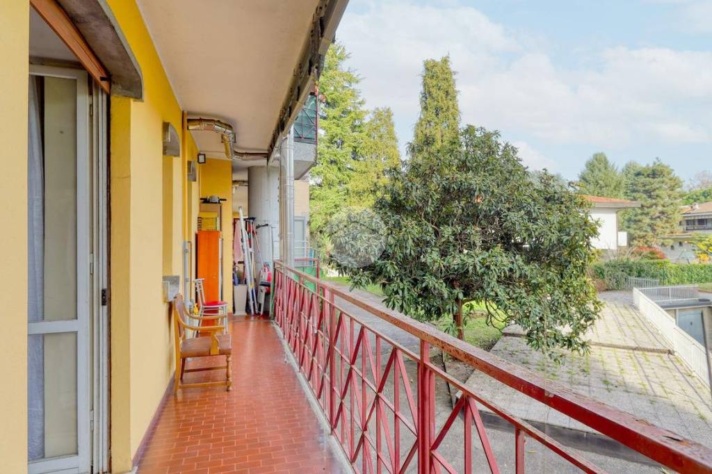 immagine annuncio 6 di 15