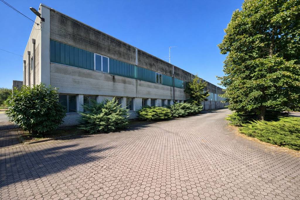 immagine annuncio 6 di 15